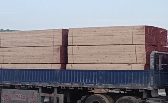 中南神箭建筑模板木方同时采购一站式服务